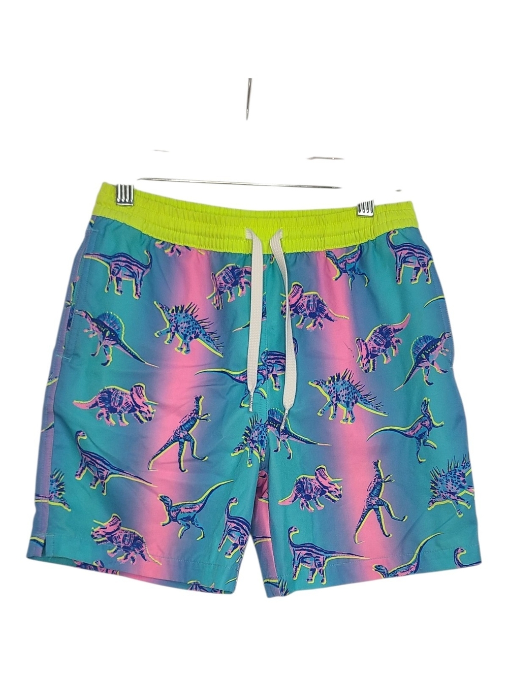 Chubbies The Dino Delights Magic Swim Trunks Boys M 10/12